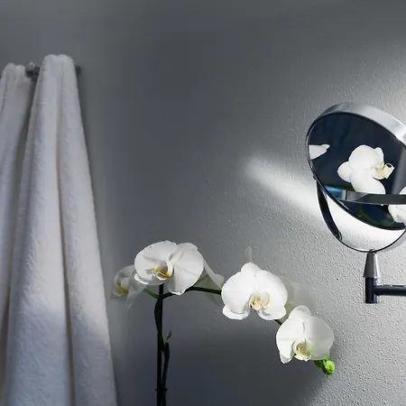Benedita Apartment Manerba del Garda